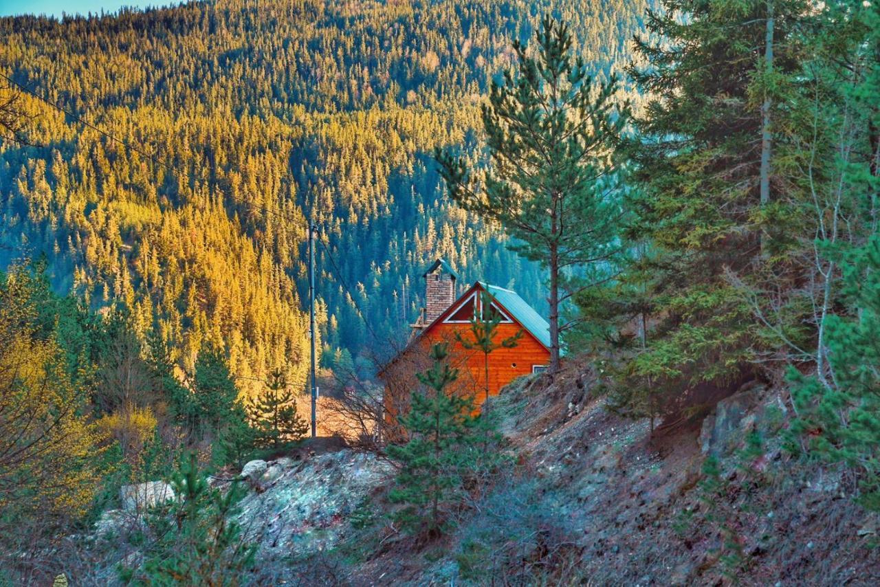 Cozy Cottage Feel Free Continental Didi Ateni Exteriör bild