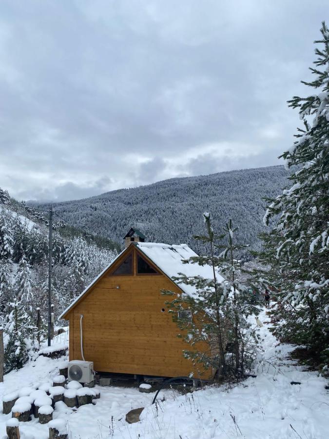 Cozy Cottage Feel Free Continental Didi Ateni Exteriör bild